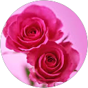 Yamini Mutyala profile picture
